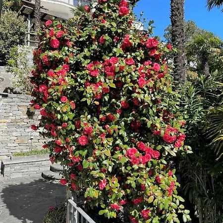 Dora Attica Holiday home Locarno